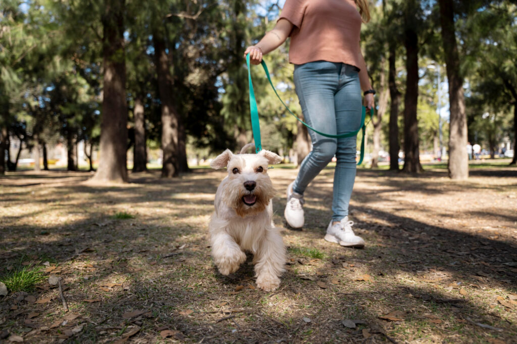 La crèche des poilus, nounou pour animaux Narbonne,Nounou pour chien Narbonne,Nounou pour chat Aude,Nounou pour rongueur Aude,Petsitter pour animaux Narbonne,Petsitter pour chien Narbonne,Petsitter pour chat Aude,Petsitter pour rongeur Aude,Garde d’animaux Narbonne,Garde de chien Narbonne,Garde de rongeur Aude,Visite de chat Narbonne,Visite de rongeur Aude
